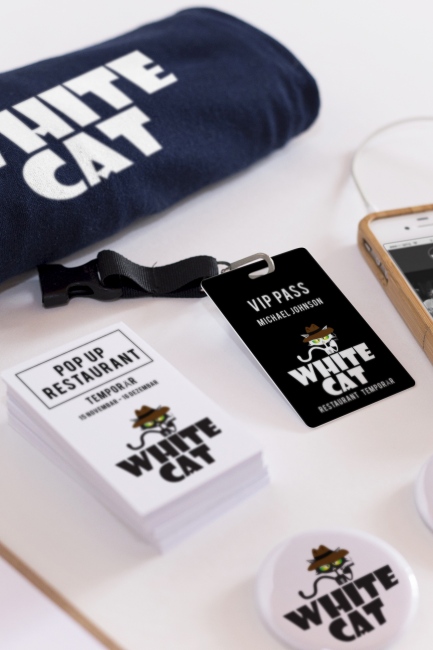 The White Cat
